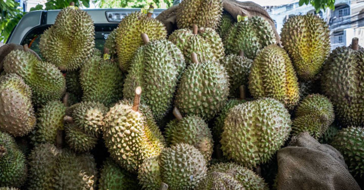 El durián, una de las frutas del sudeste asiático, es conocida como la fruta que sabe a cielo y huele a infierno