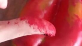 Ya hemos visto todo: denuncian que pimentones rojos fueron pintados con spray en feria de Viña del Mar