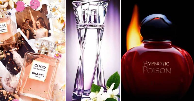 Los 5 mejores perfumes con feromonas de mujer que elevan tu atractivo y  conquistan al instante – Sagrosso