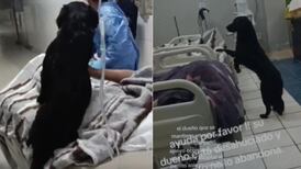 Desgarrador: Este perro acompañaba a su dueño en el hospital y luego este lo abandonó