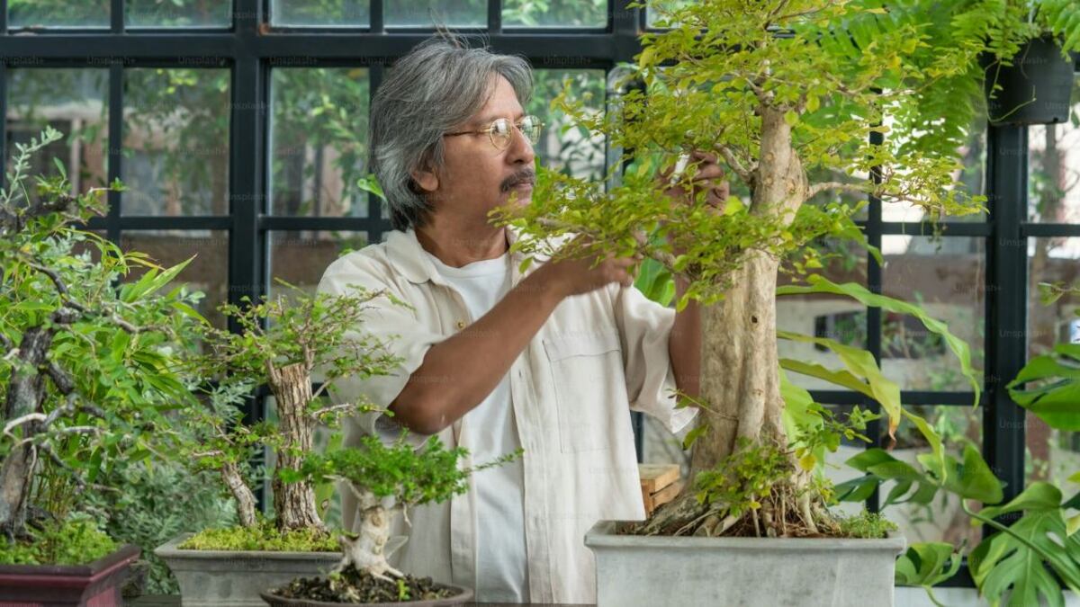 Feng Shui: la planta que nunca jamás debes tener en tu casa porque atrae las malas energías