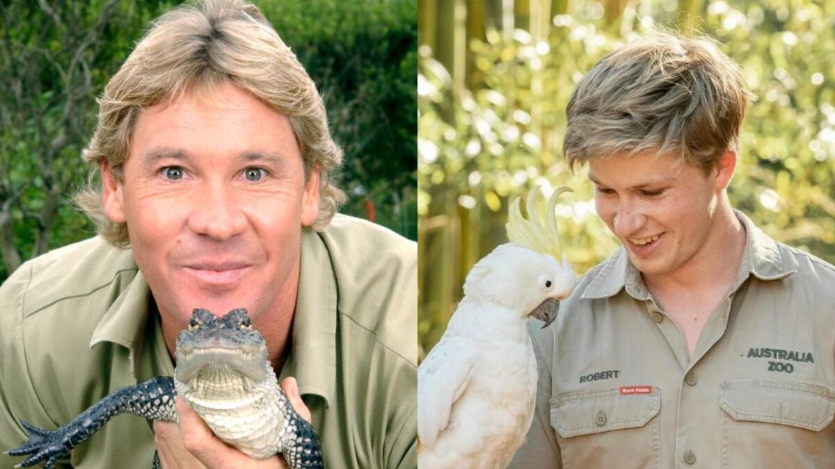 Steve Irwin y Robert Irwin