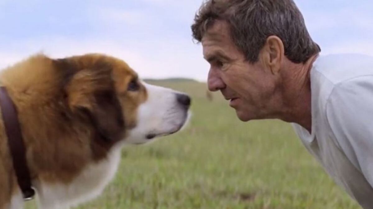 Netflix: la emotiva película que dura menos de 2 horas y que es imposible verla sin llorar