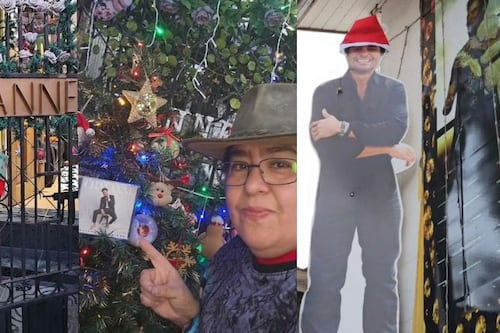 “Es mi razón de vivir”: Chilena es furor en redes sociales con decoración navideña inspirada en Chayanne