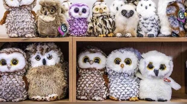 Encuentra el búho oculto.