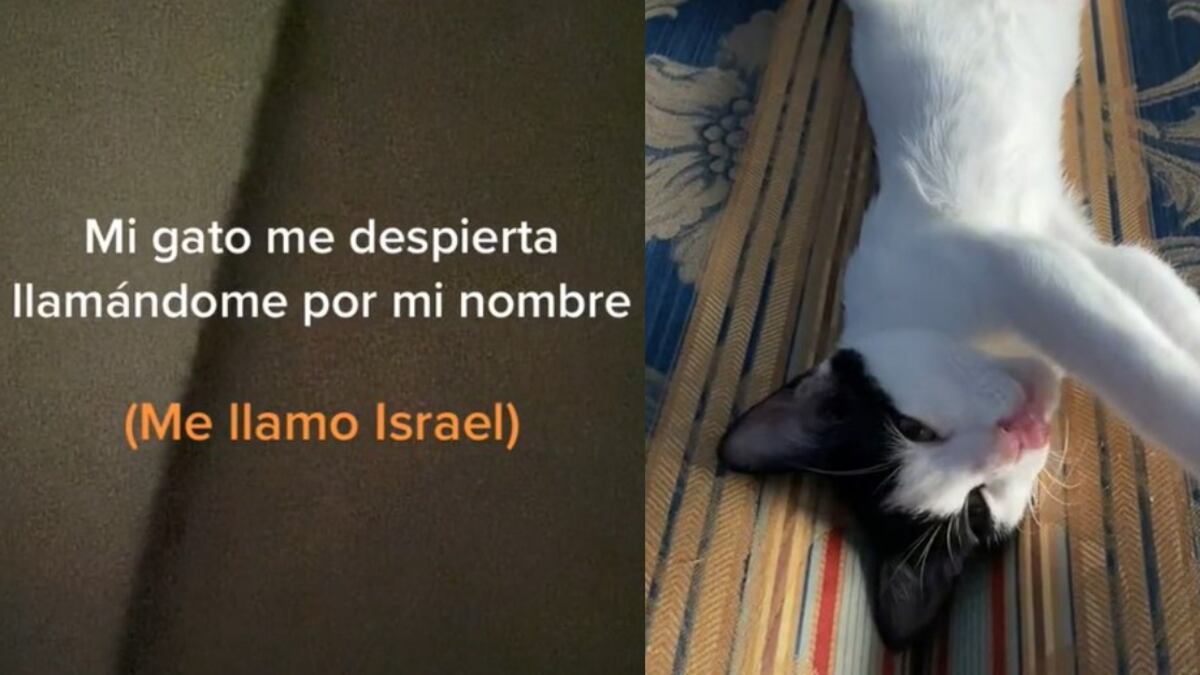 El video se volvió viral