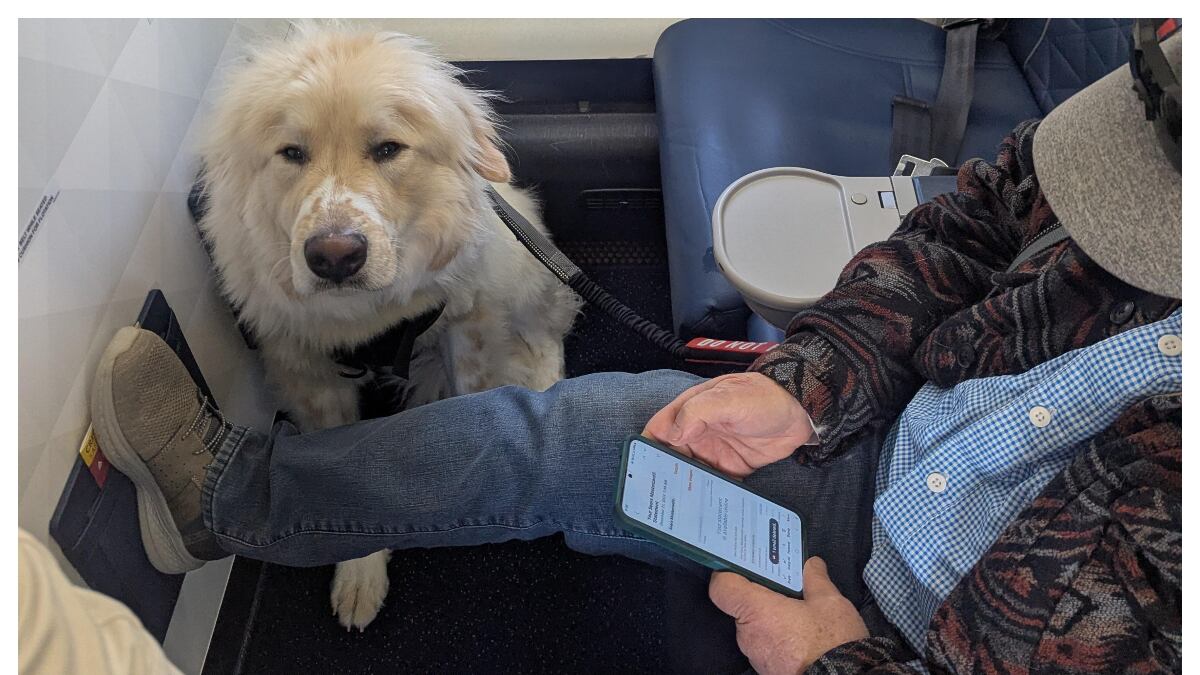 La situación se volvió viral en Reddit