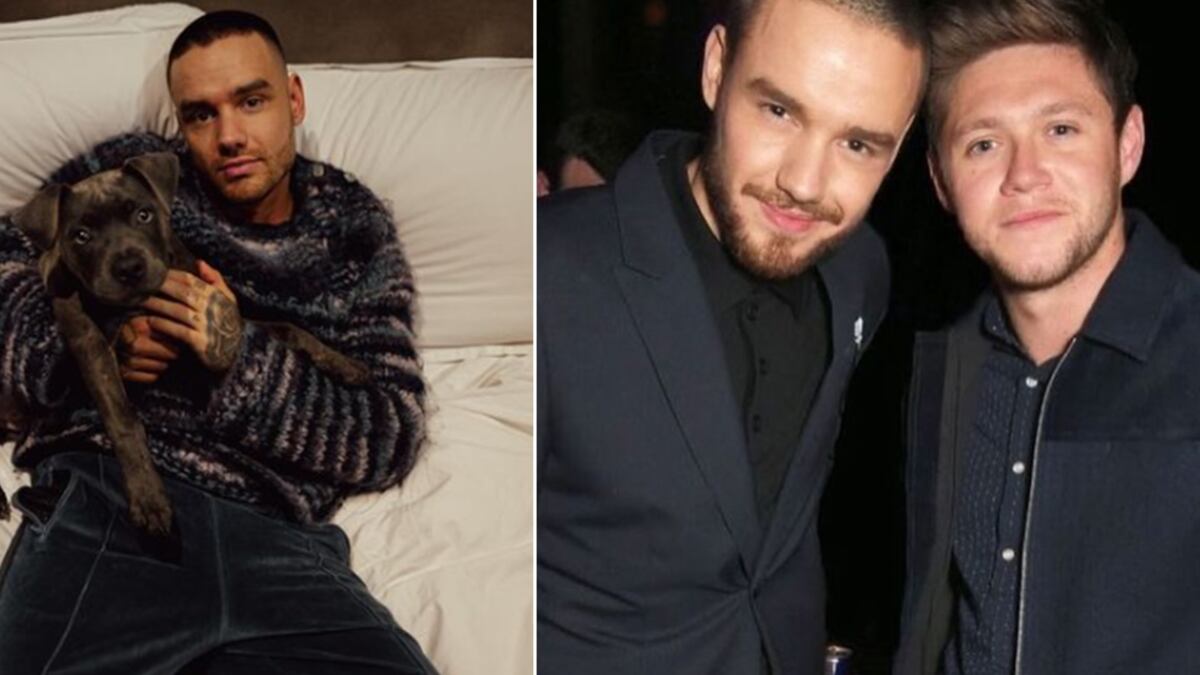 Liam Payne y Niall Horan encuentro