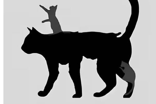 Con este test visual descubrirás tu edad mental