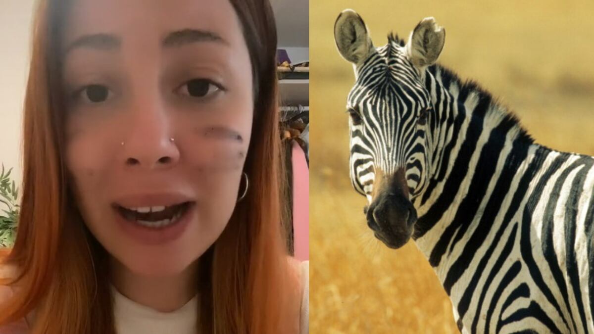 El video se volvió viral