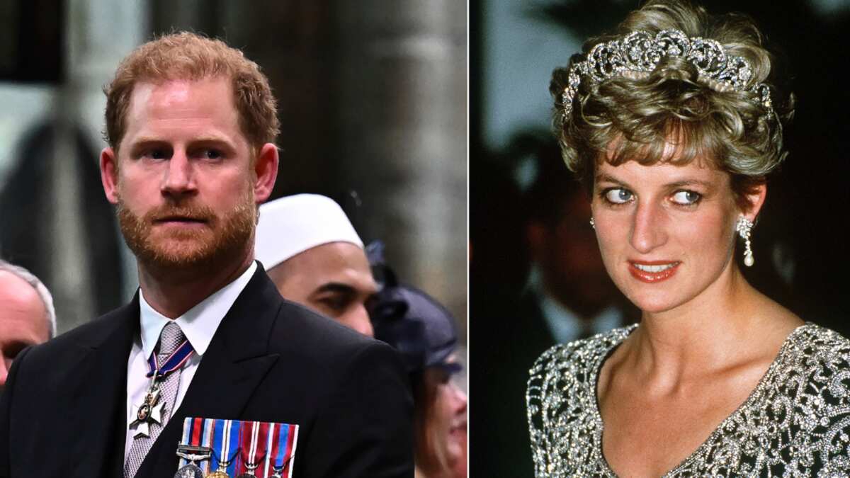 Príncipe Harry / Lady Di