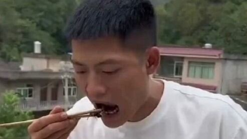 El influencer se comió una avispa viva