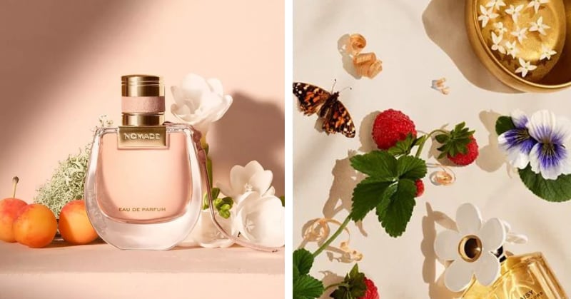 5 perfumes de clase alta más económicos para oler como millonaria sin gastar demasiado