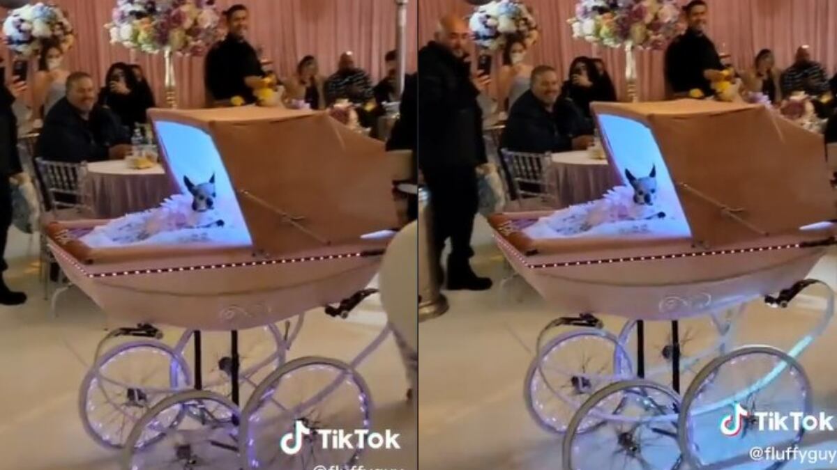 El video se volvió viral