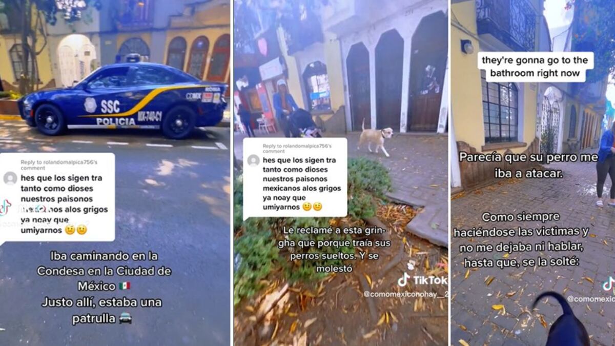 Según las imágenes del clip, la mexicana le explicó a la estadounidense que por ley ella debía traer a sus perros con correa