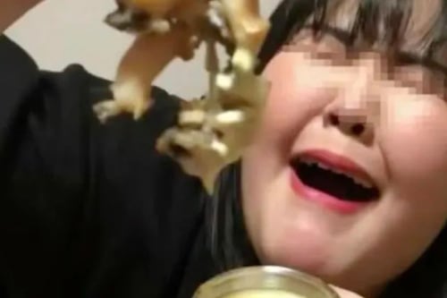 Influencer de 24 años muere durante transmisión en vivo