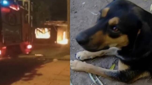 Imagen elaborada a partir de capturas de video de canal argentino.