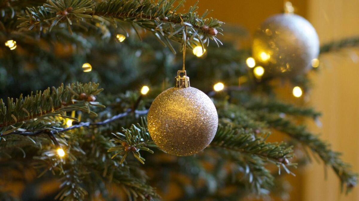 Adiós al árbol de Navidad: la nueva planta que la reemplaza y que atrae la abundancia según el Feng Shui