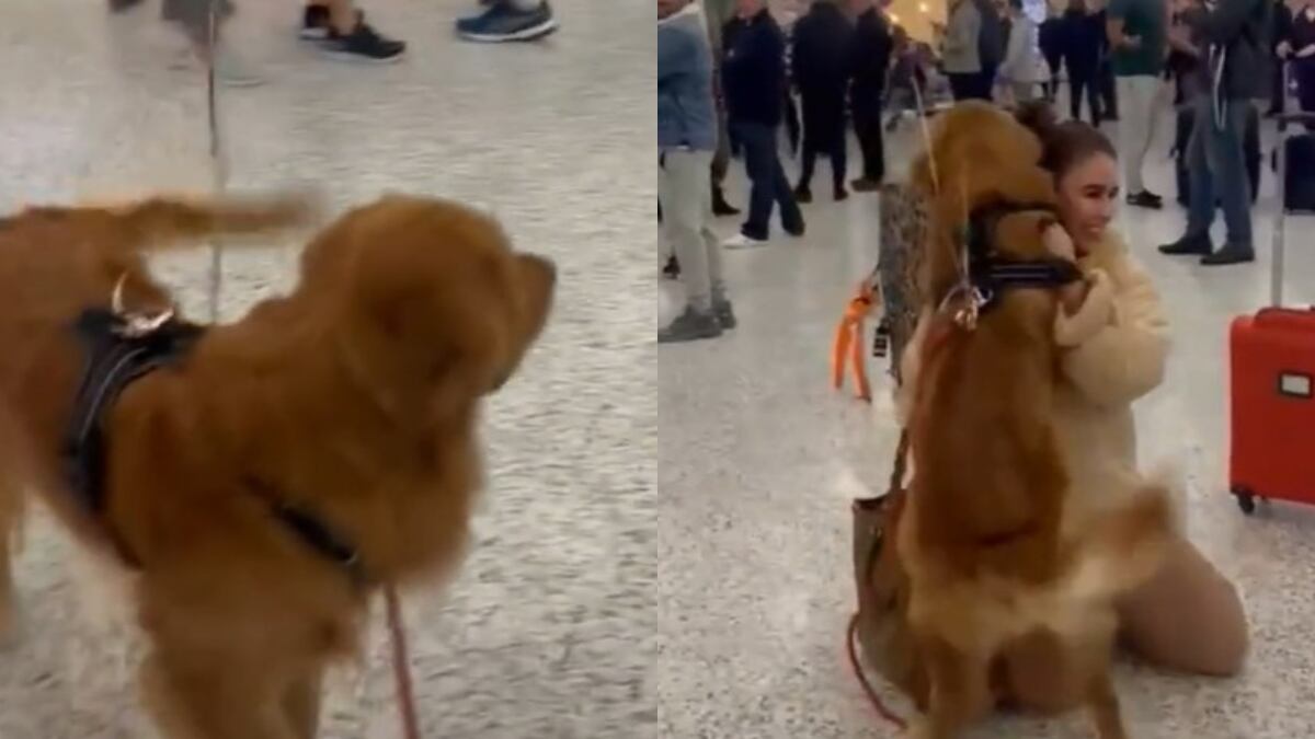 El video emocionó a todos