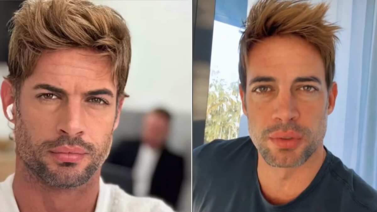 William Levy