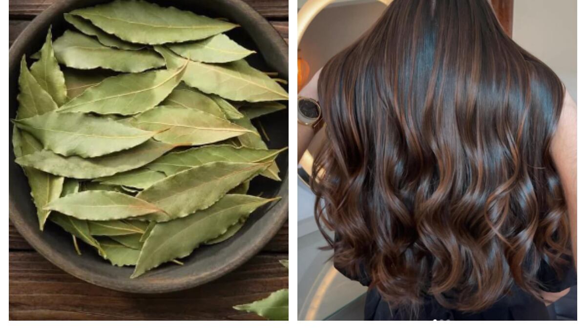 ¿Cómo usar el laurel en el shampoo para hacer crecer el cabello en una semana y evitar la caída del pelo?