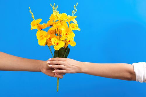 ¿Cuál es el significado de regalar flores amarillas este 21 de septiembre? Acá te lo explicamos