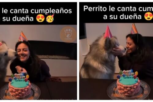 Perrito enterneció las redes sociales tras ‘cantarle’ el cumpleaños feliz a su dueña