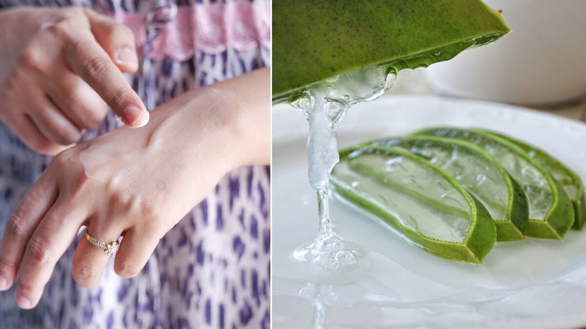 La sábila tiene propiedades que dejan las manos más jóvenes y suaves