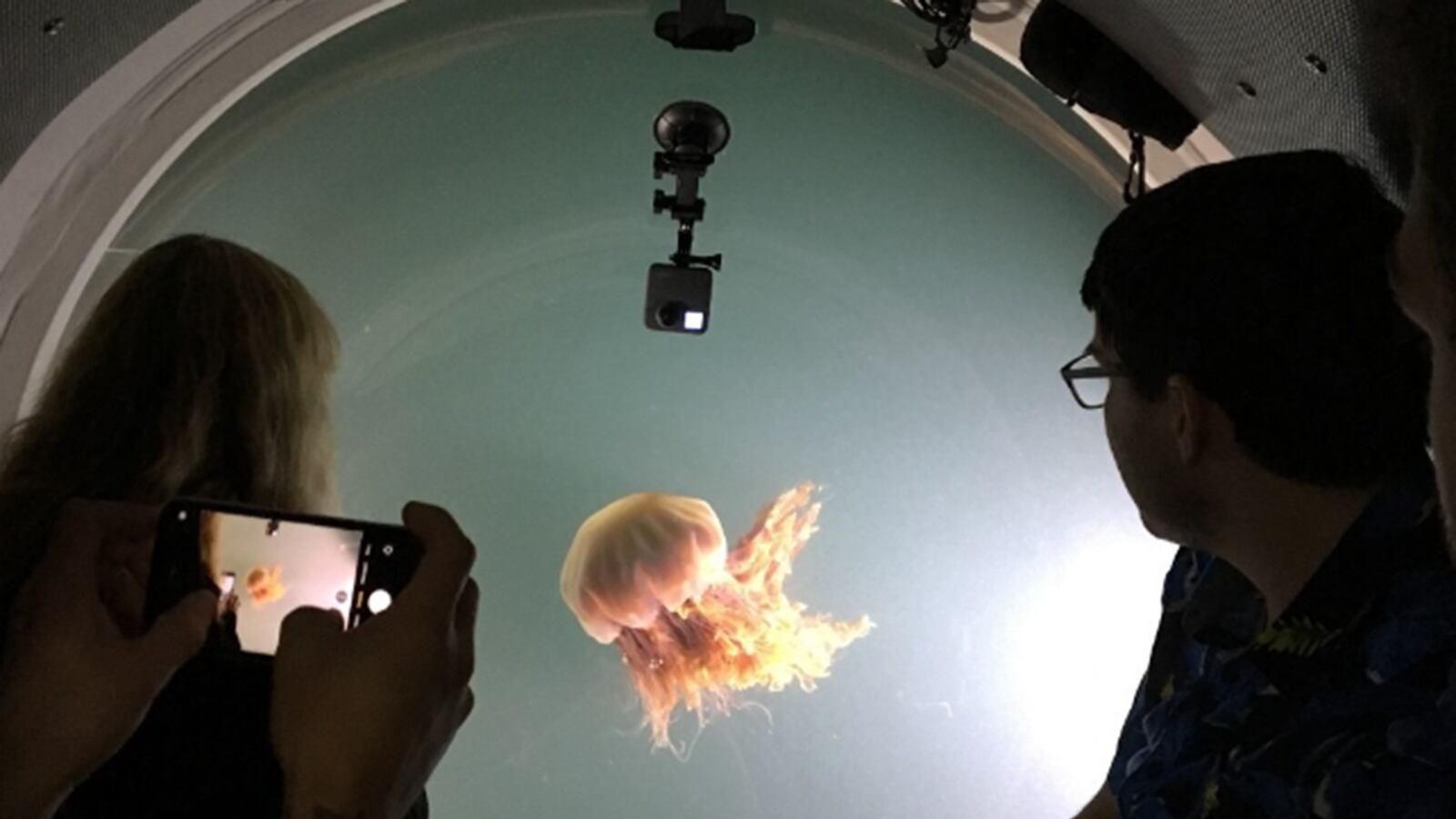 Su intuición los mantiene con vida: Este padre e hijo renunciaron al viaje en el submarino Titán.