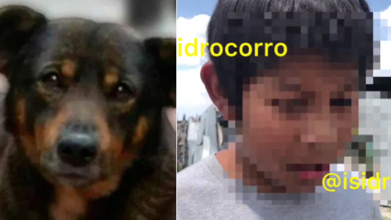 Justicia para Scooby