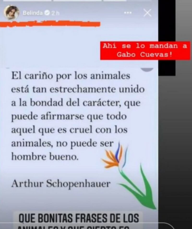 La publicación de Belinda sobre el maltrato animal