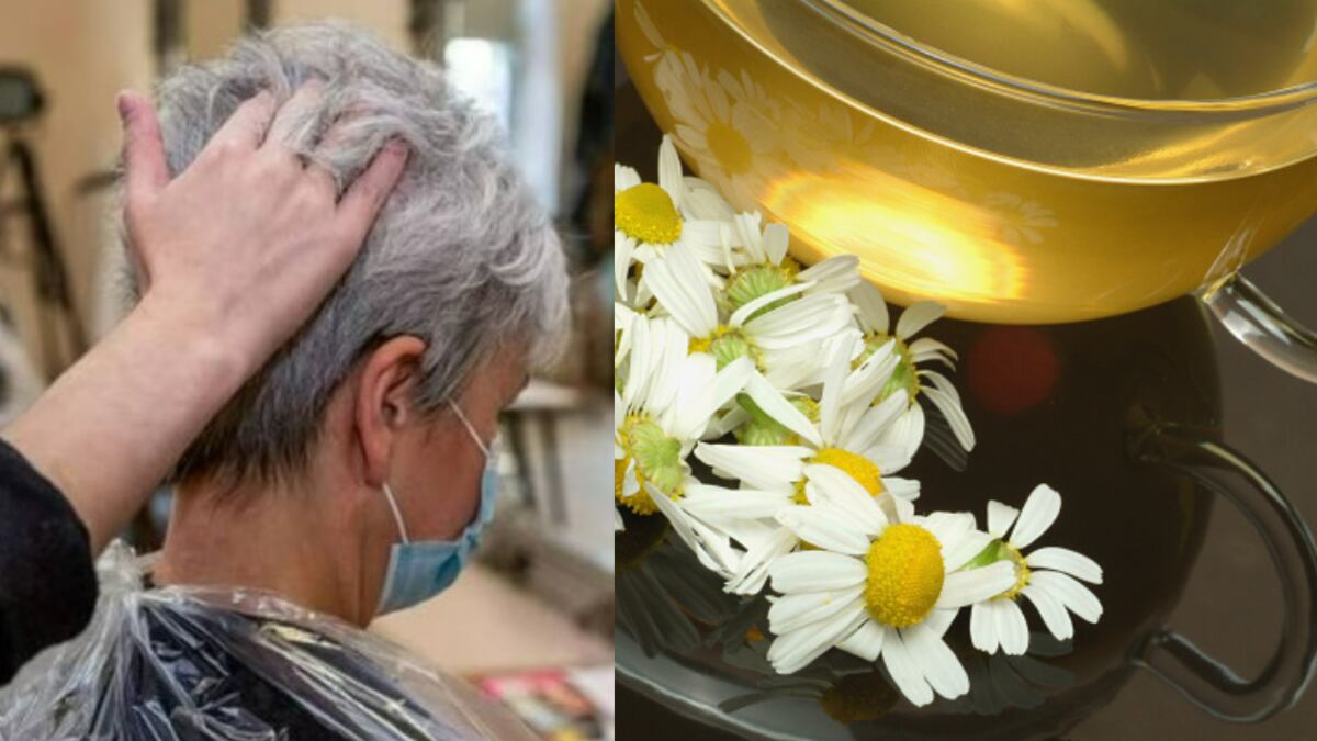 Tinte con té de manzanilla para las canas