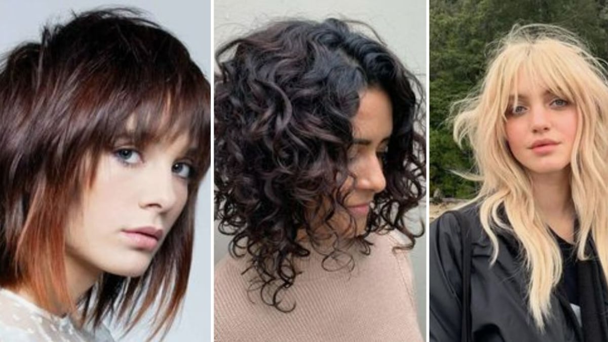 5 cortes de pelo shaggy