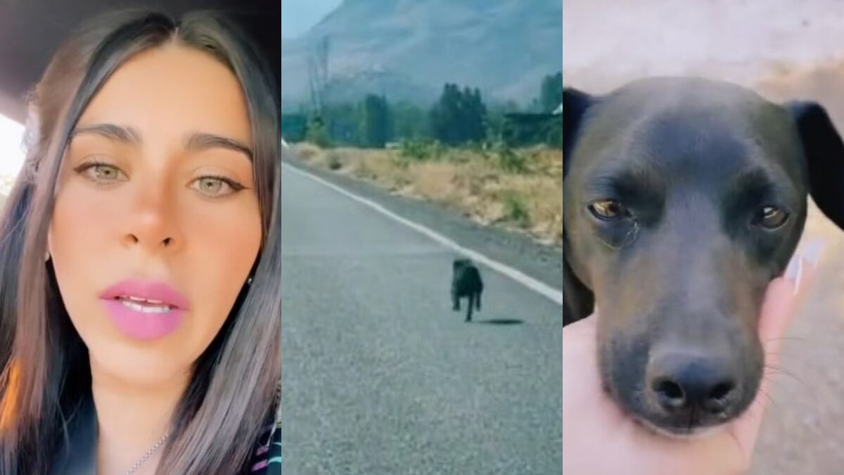 El video se volvió viral