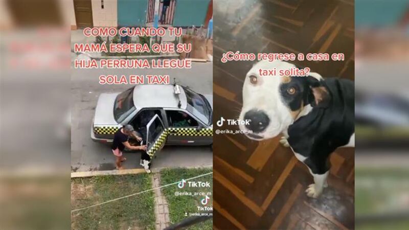 Una historia muy curiosa