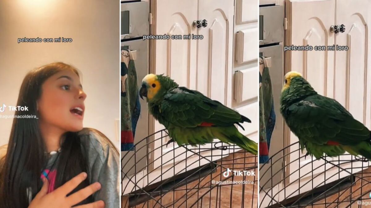 El video ya alcanza 1,6 millones de visualizaciones y más de 1.500 comentarios.