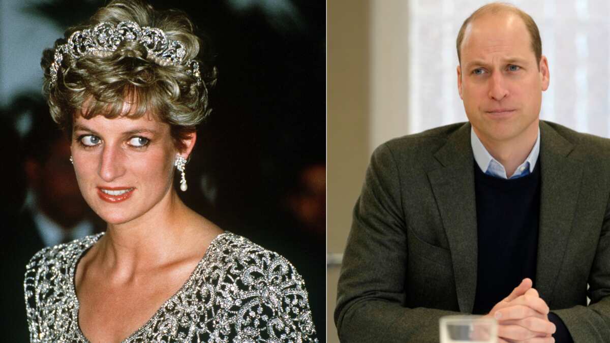 Lady Di y el príncipe William