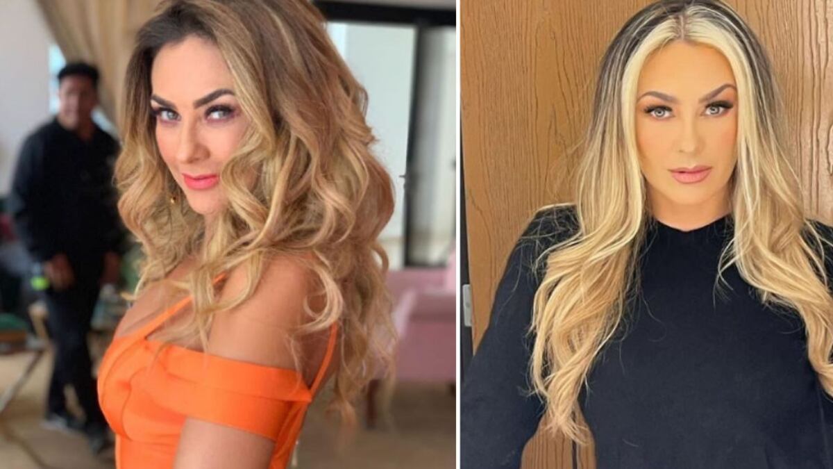 La foto de Aracely Arámbula en ropa interior a sus 47 por el que se llevó miles de halagos