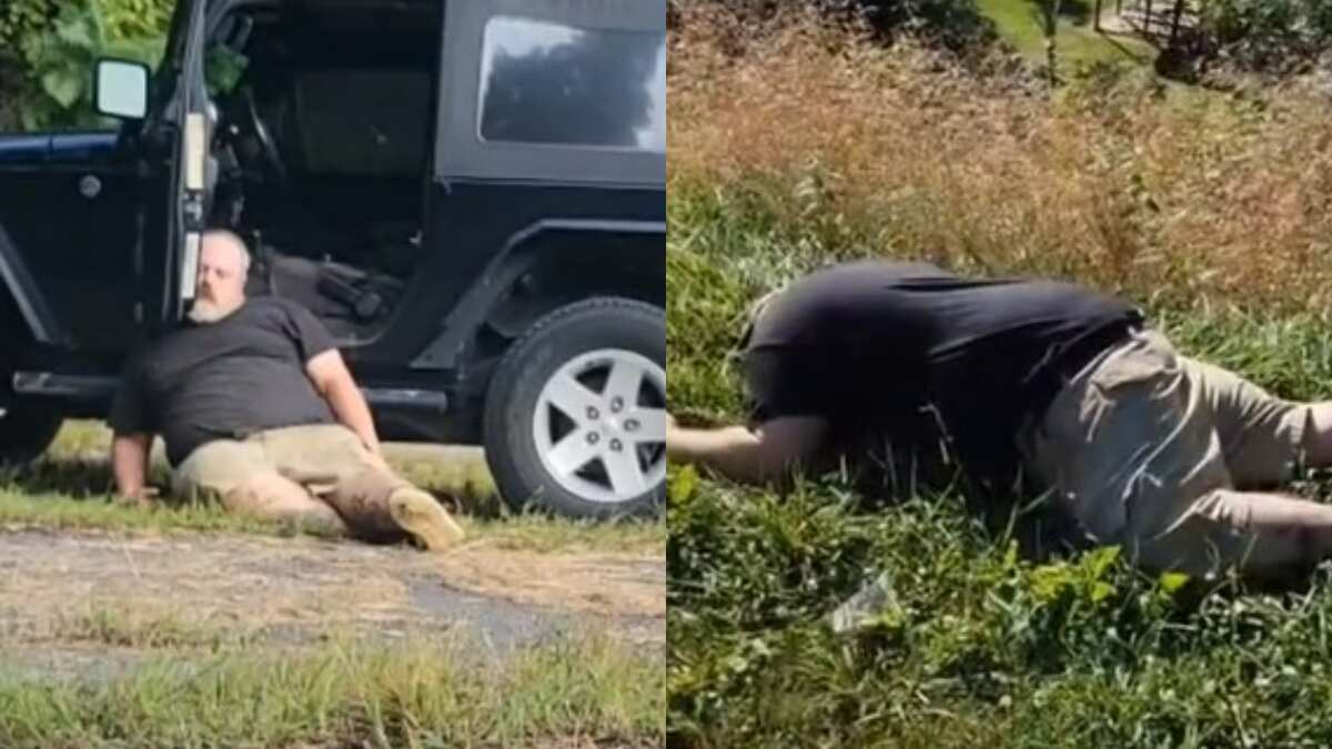 Los videos se viralizaron