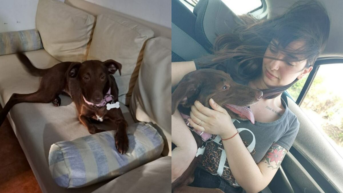 La historia se volvió viral