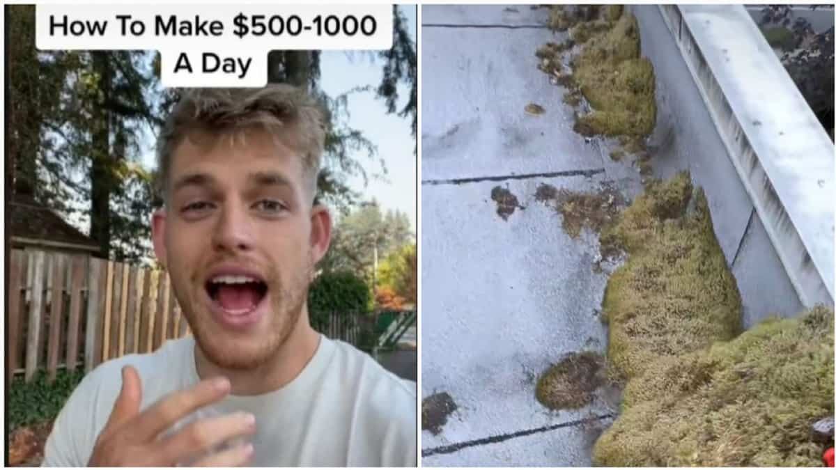 Para muchos, resulta un trabajo asqueroso