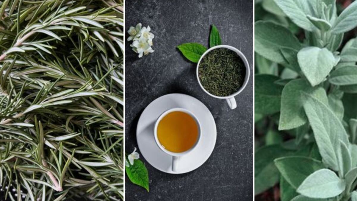 El poderoso remedio casero y natural que elimina las canas en 3 días