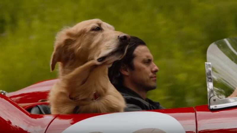 Es imposible no llorar con esta película