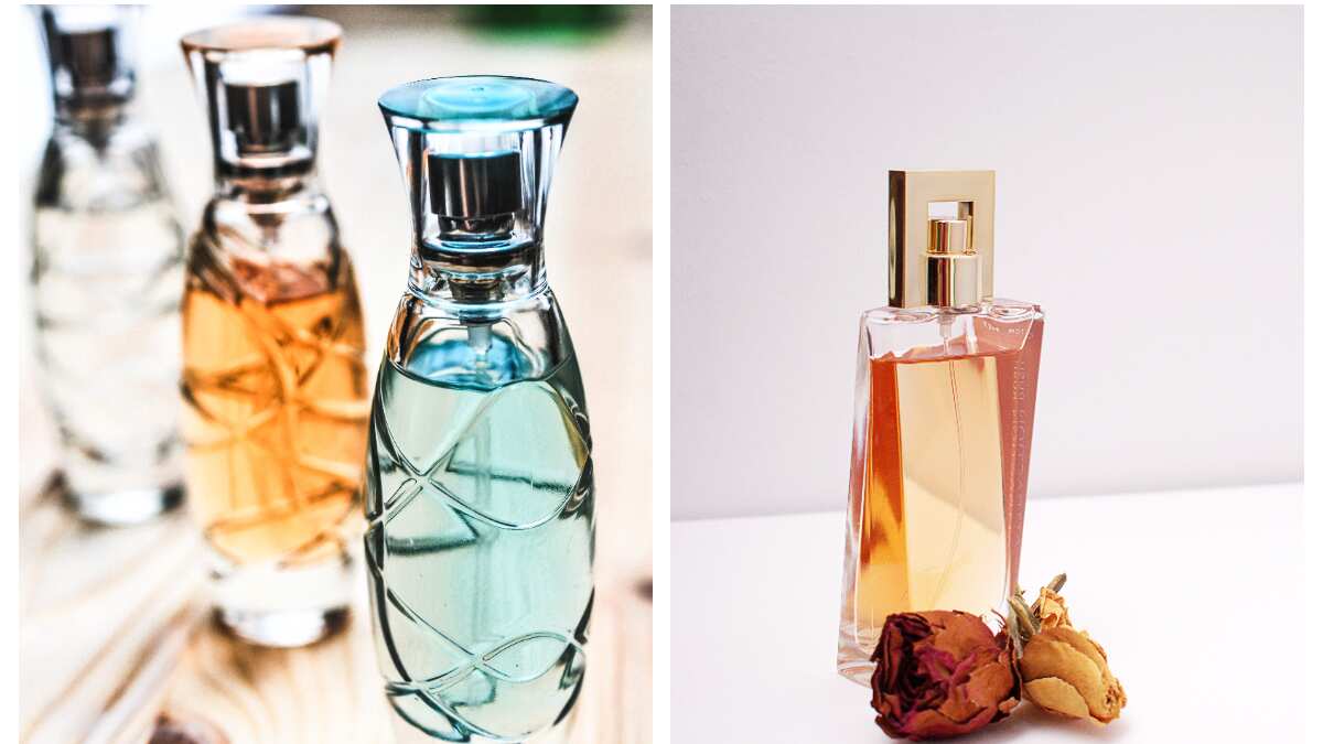 Los mejores perfumes económicos que huelen a caro y duran todo el día