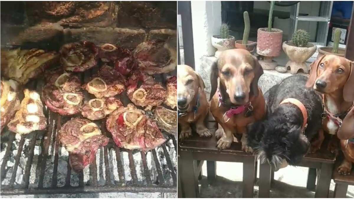 El video se volvió viral