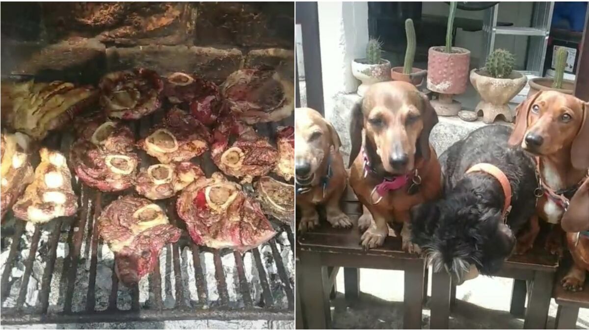 El video se volvió viral