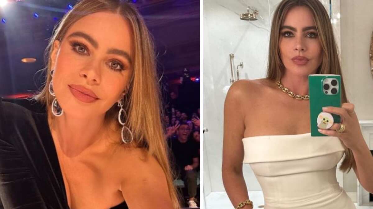 Sofía Vergara looks