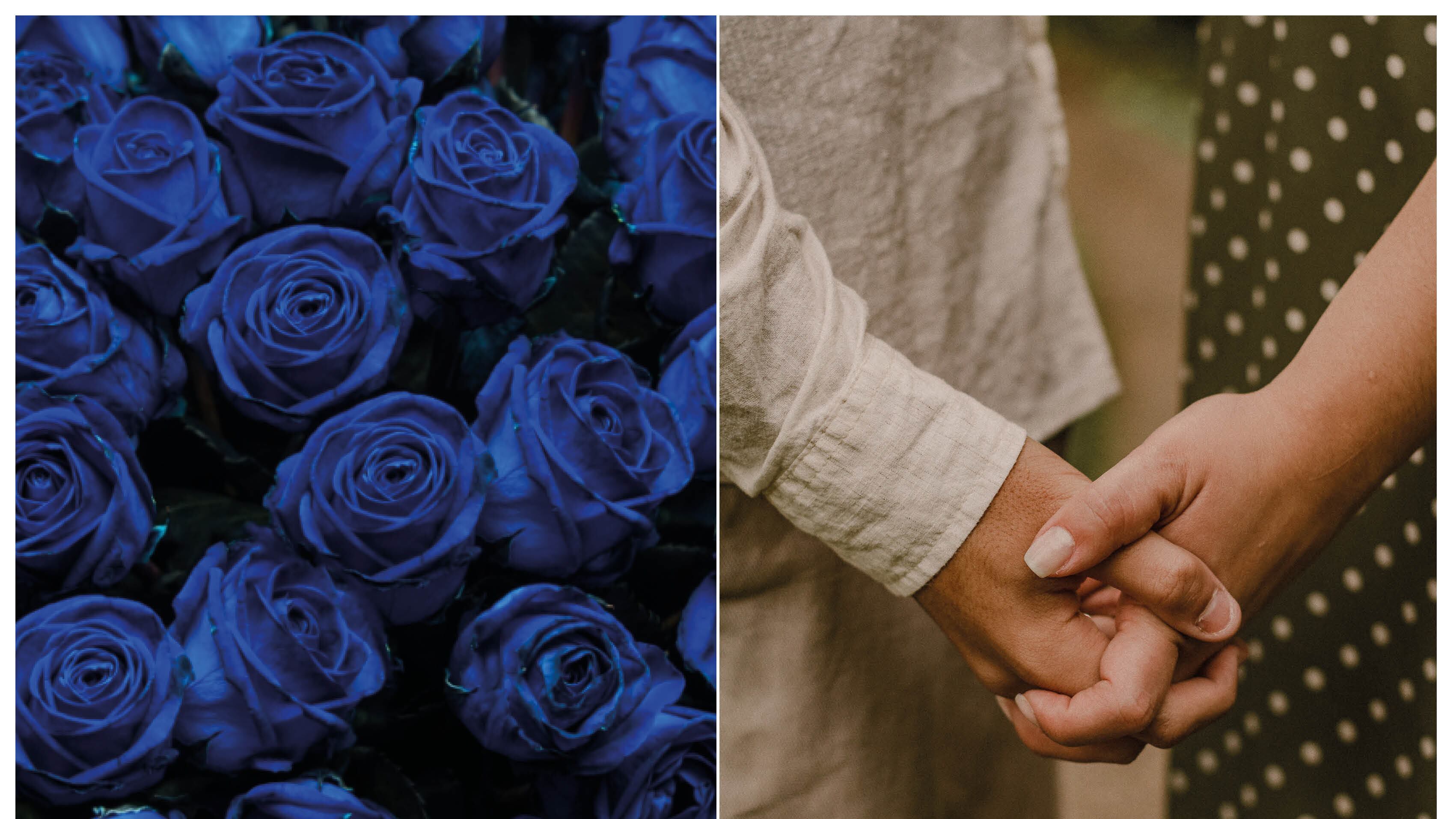 Conoce la razón por la que se regala flores azules el 3 de octubre.