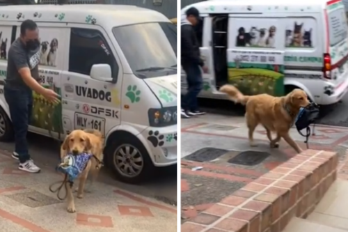 Perrito va a la guardería y hasta lleva lonchera