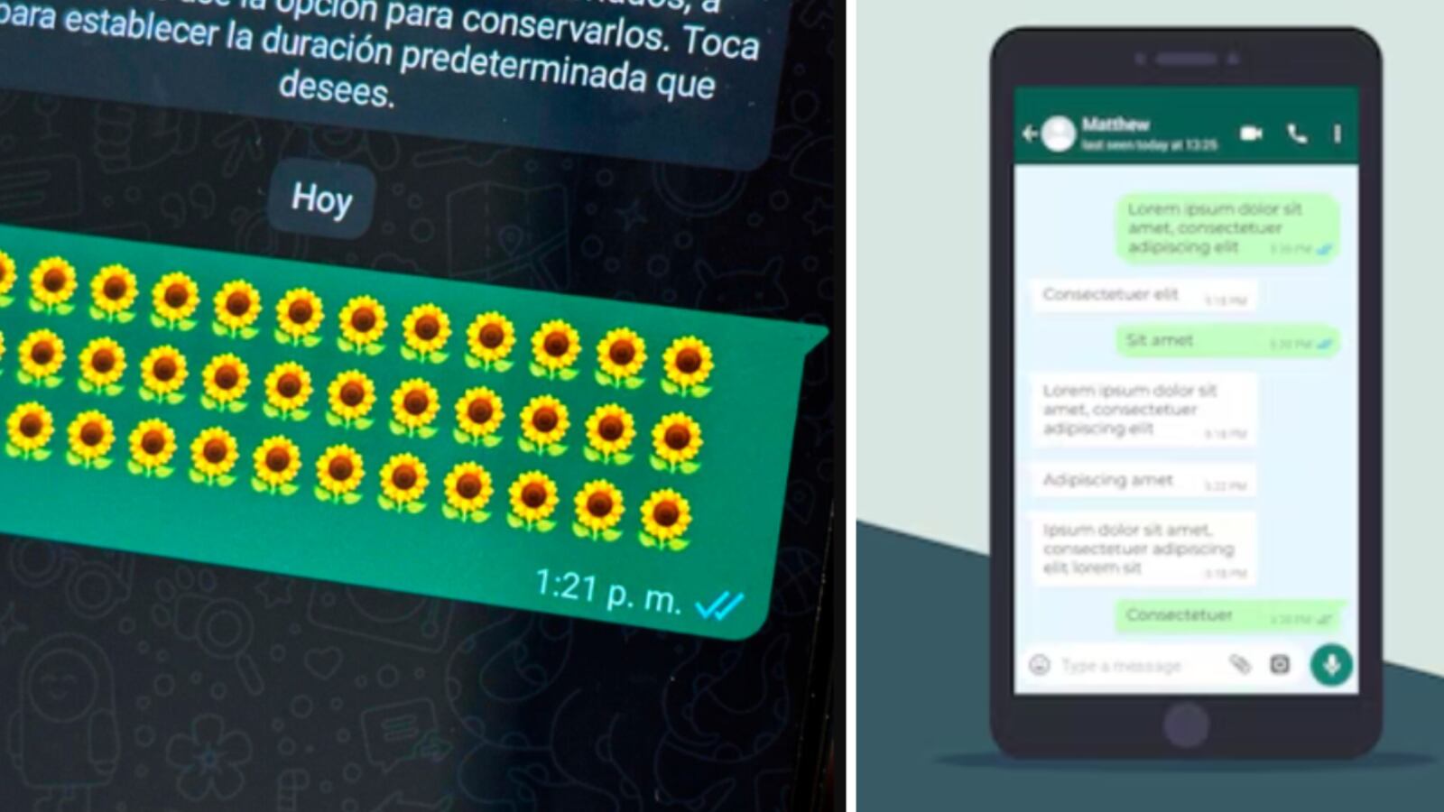 Cómo activar modo flores amarillas en WhatsApp